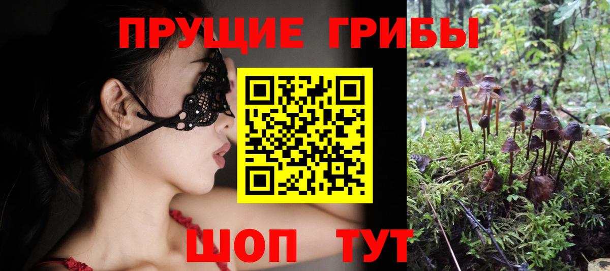 Галлюциногенные грибы Magic Shrooms  цена наркотик  Вход с VPN  Крымск  Галлюциногенные грибы GOLDEN TEACHER 